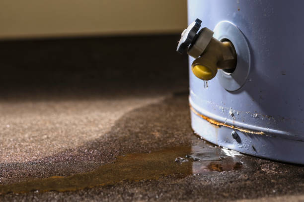 Best Water damage restoration near me  in English Creek, NJ