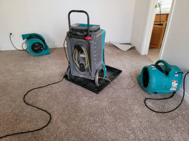 Best Residential water damage restoration  in English Creek, NJ