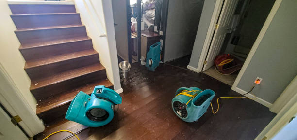 Best Carpet water damage restoration  in English Creek, NJ