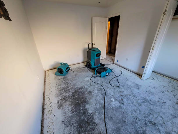 Best Sewage cleanup and water damage restoration  in English Creek, NJ