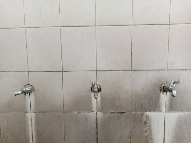 Best Fire Damage Restoration  in English Creek, NJ