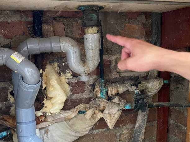 Best Professional water damage repair  in English Creek, NJ